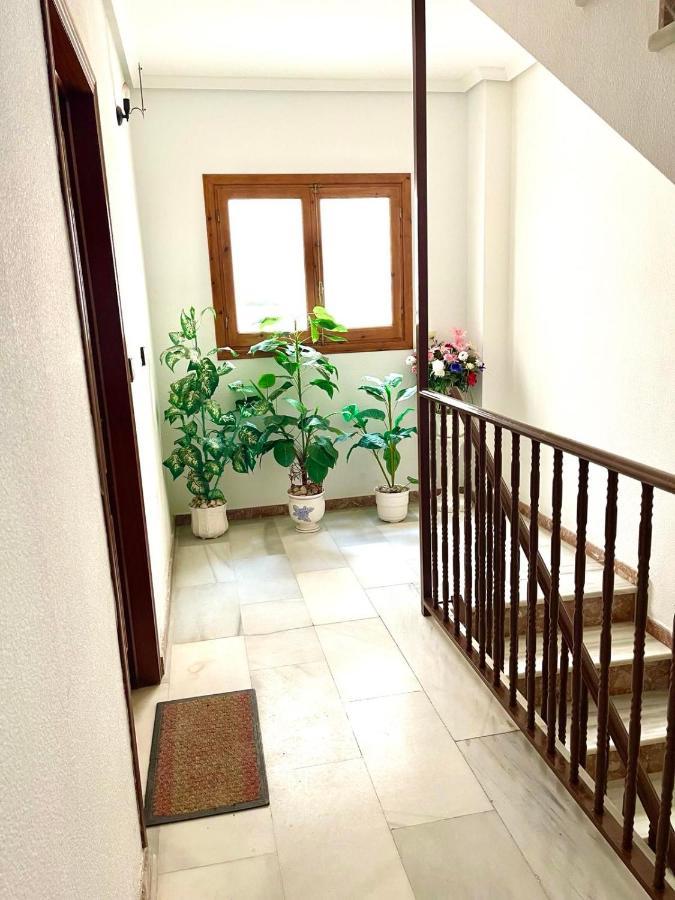 Captain Garcia Apartment Torrevieja Exterior photo